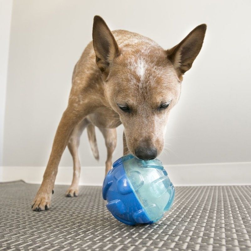 Rewards Ödül Hazneli Köpek Oyuncağı Large 17 Cm