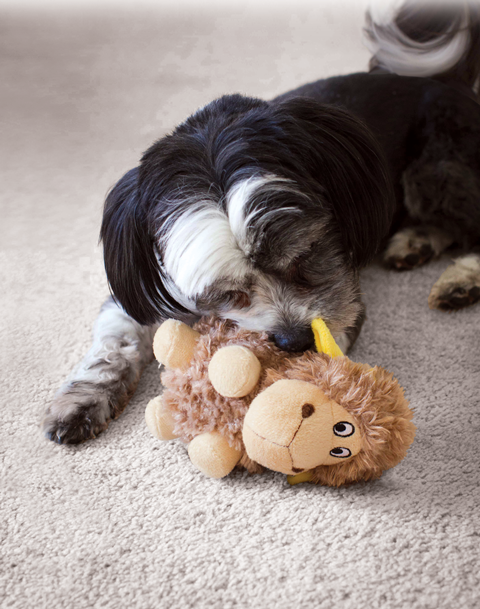 Kong Hışırtılı Koyun Peluş Köpek Oyuncağı Large 23 Cm