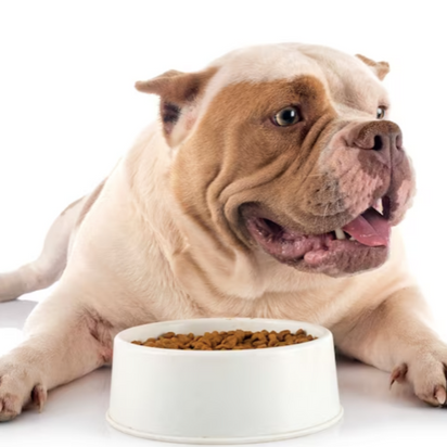 Acana Classic Red Köpek Maması