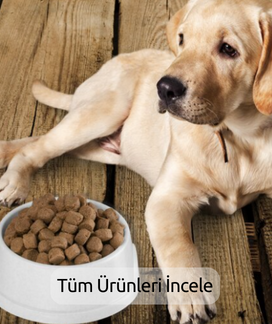 KÖPEK