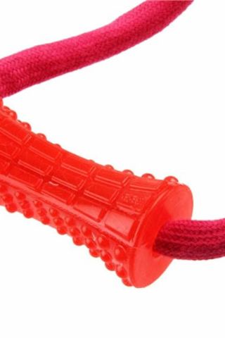 GiGwi6198 Plush Friendz Öten Köpek Diş Kaşıyıcılı