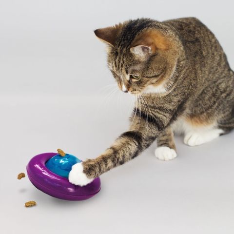 Kong İnfused Cat Gyro Kediotlu Ve Zilli Kedi Top Oyuncağı