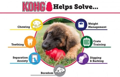 Kong Extreme Ödül Hazneli Köpek Oyuncağı Medium 9 Cm