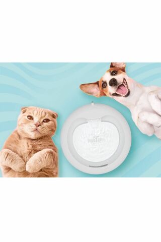 Cattie Kedi Köpek Arıtmalı Su Pınarı Klasik Model Antrasit