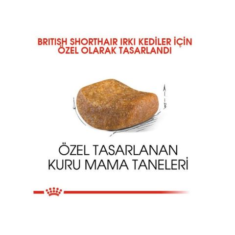 Royal Canin British Shorthair Yetişkin Kedi Maması 2kg
