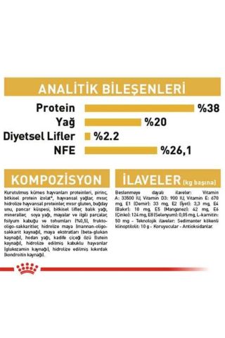 Royal Canin Kitten British Shorthair Yavru Irk Kedi Maması 2 Kg