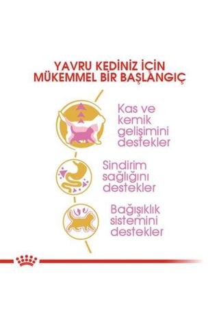 Royal Canin Kitten British Shorthair Yavru Irk Kedi Maması 2 Kg