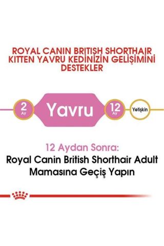 Royal Canin Kitten British Shorthair Yavru Irk Kedi Maması 2 Kg