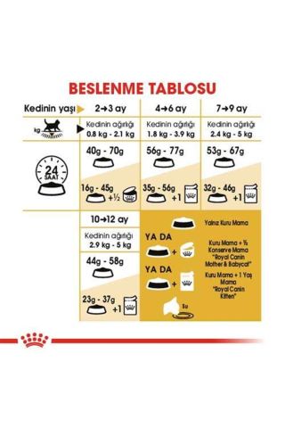 Royal Canin Kitten British Shorthair Yavru Irk Kedi Maması 2 Kg
