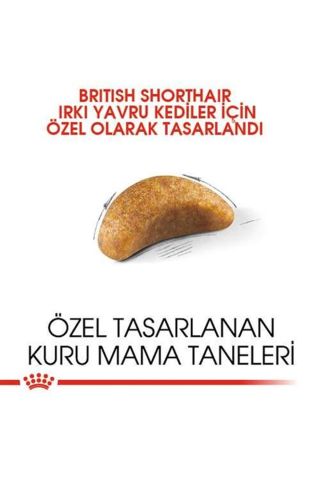 Royal Canin Kitten British Shorthair Yavru Irk Kedi Maması 2 Kg
