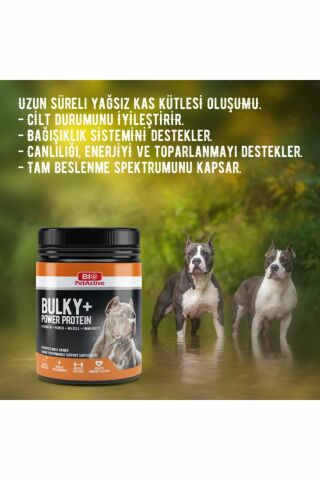 Bio PetActive Bulky Power Protein Köpek Kas Güçlendirici Toz