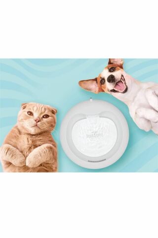 Doggie & Cattie Arıtmalı Kedi ve Köpek Otomatik Su Pınarı 2,5 L (Yeşil)