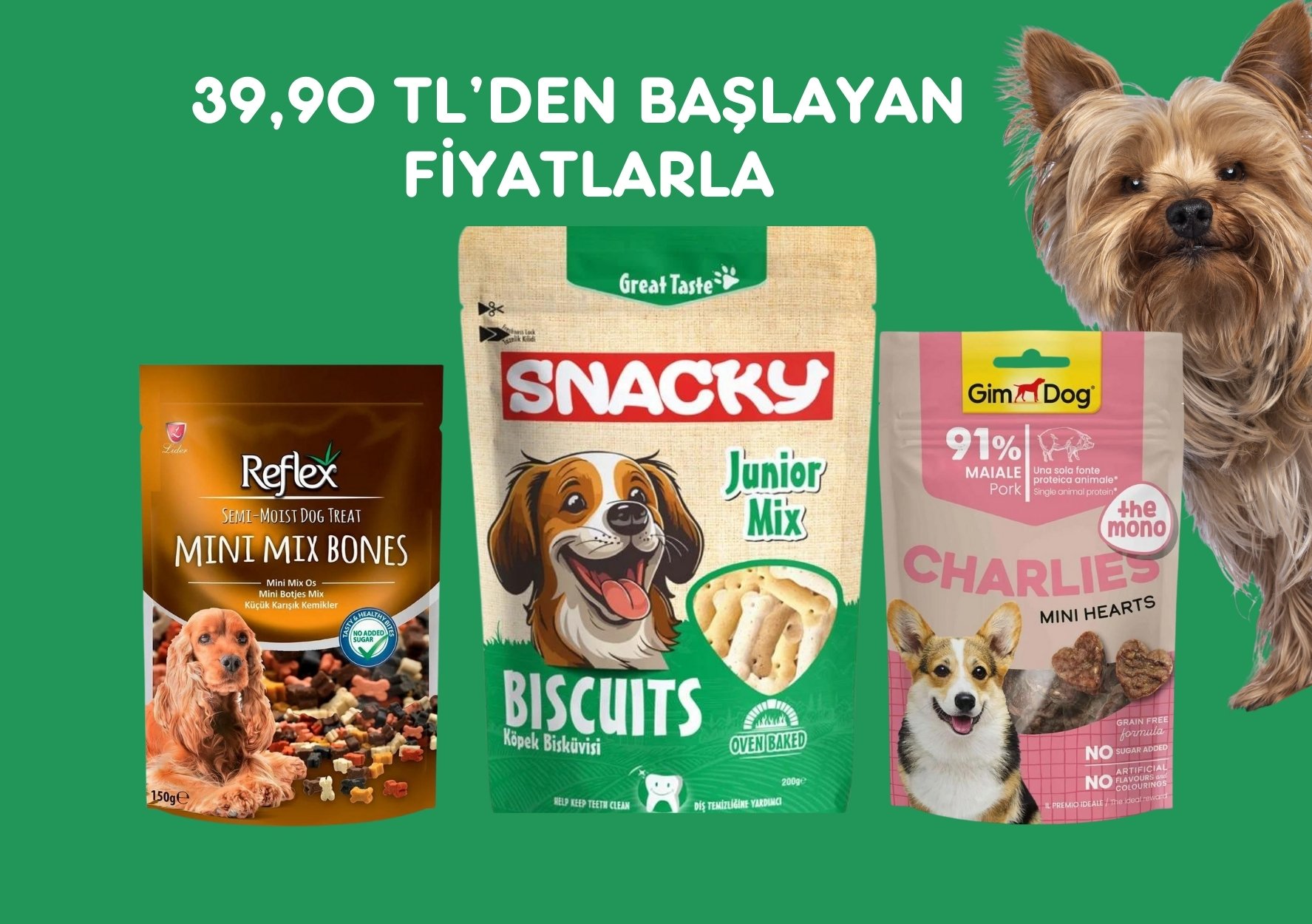  KÖPEK ÖDÜLLERİ